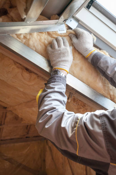 Best Geographic-Specific Insulation Services in Poway, CA